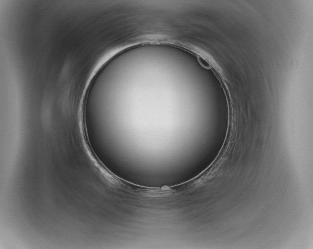 X0000115601440200911171119