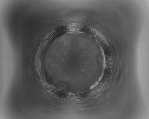 X0000115601441200911171119