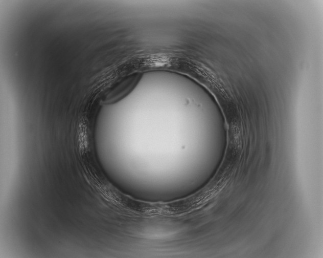 X0000115601442200911171119