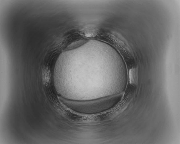 X0000115601443200911171119