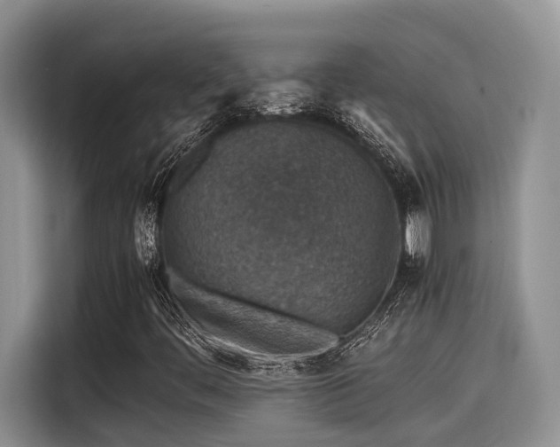 X0000115601444200911171119