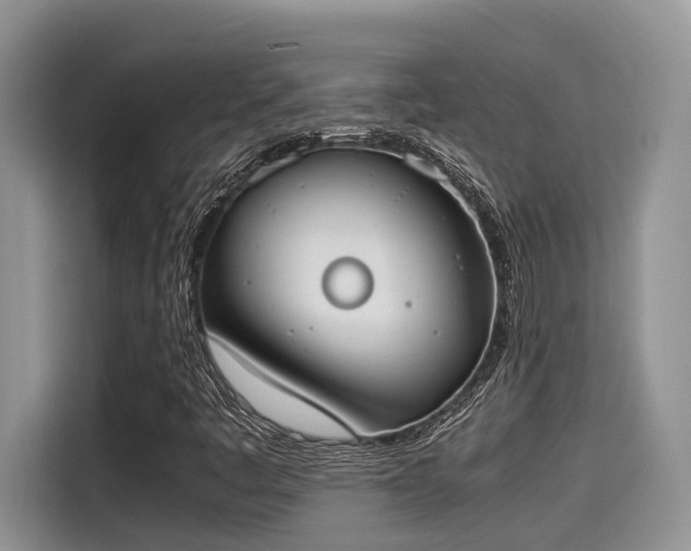 X0000115601445200911171119