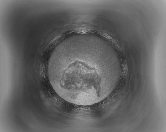 X0000115601446200911171119