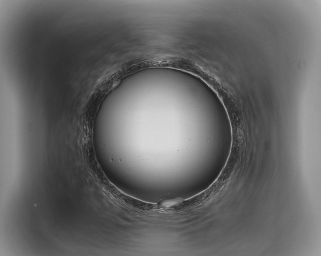 X0000115601447200911171119