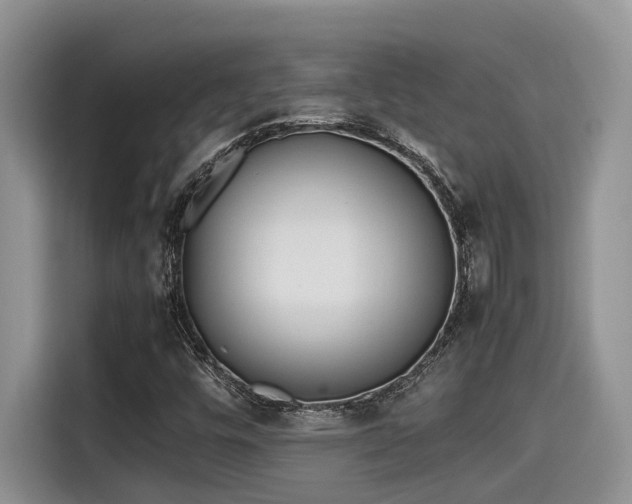 X0000115601448200911171119