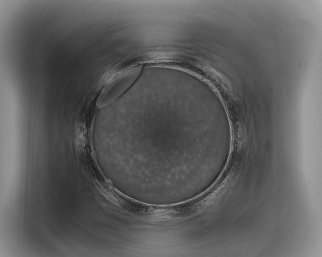 X0000115601449200911171119