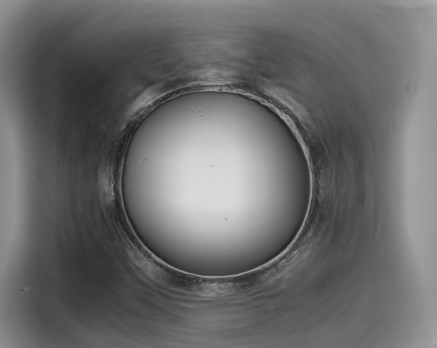 X0000115601451200911171118