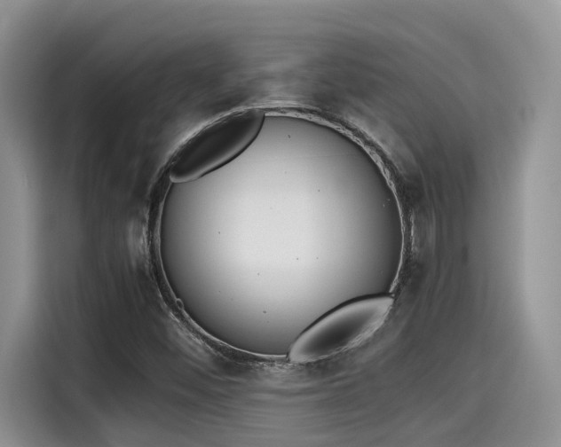 X0000115601452200911171118