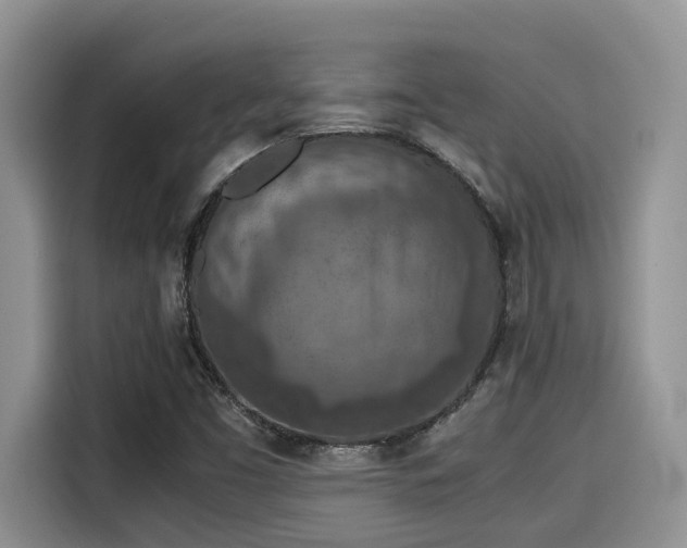 X0000115601453200911171118