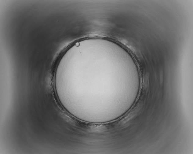 X0000115601454200911171118