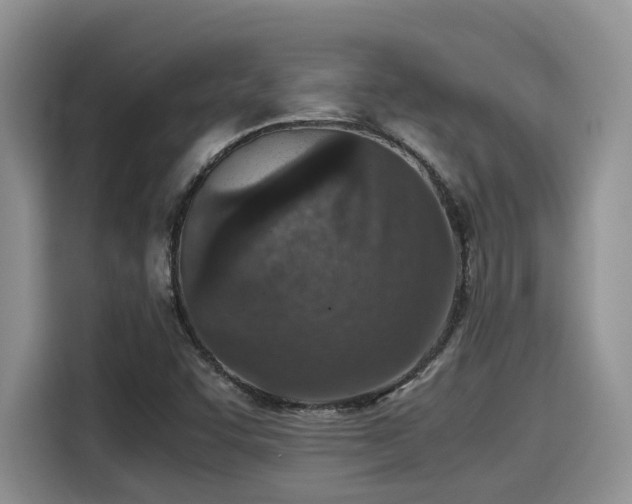 X0000115601455200911171118