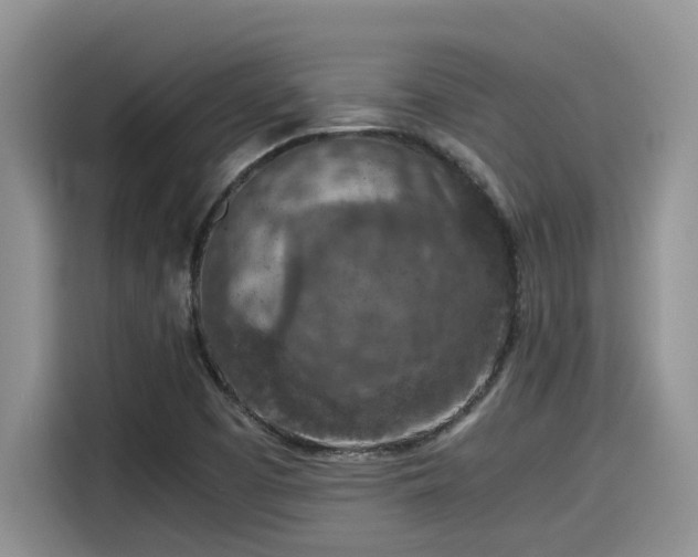 X0000115601457200911171118