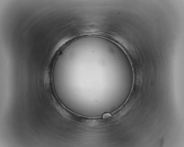 X0000115601458200911171118