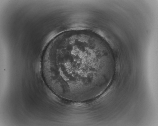 X0000115601459200911171118