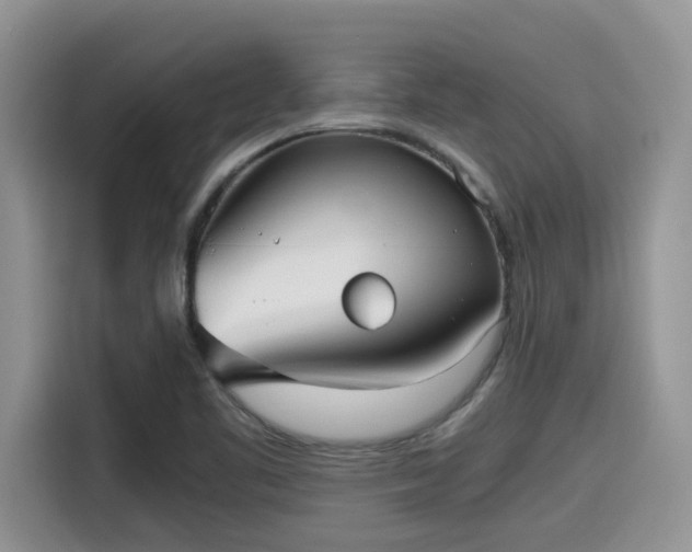 X0000115601461200911171118