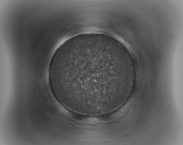 X0000115601463200911171118