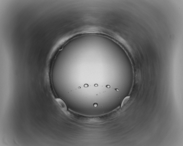 X0000115601464200911171118