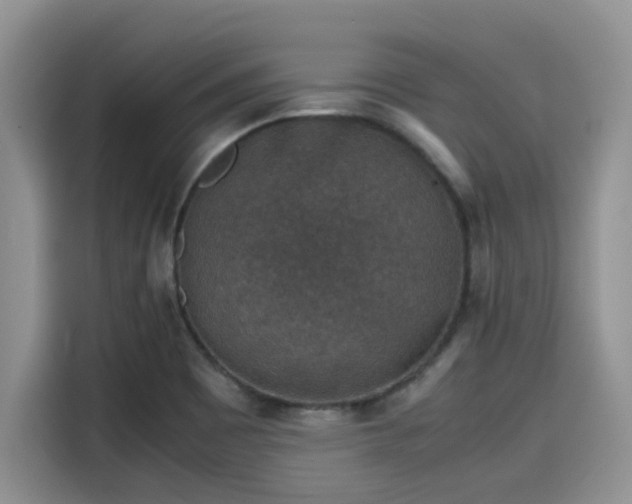 X0000115601465200911171118