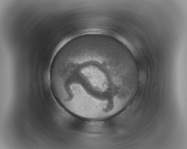 X0000115601466200911171118