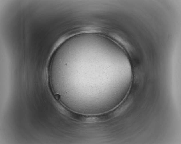 X0000115601467200911171118