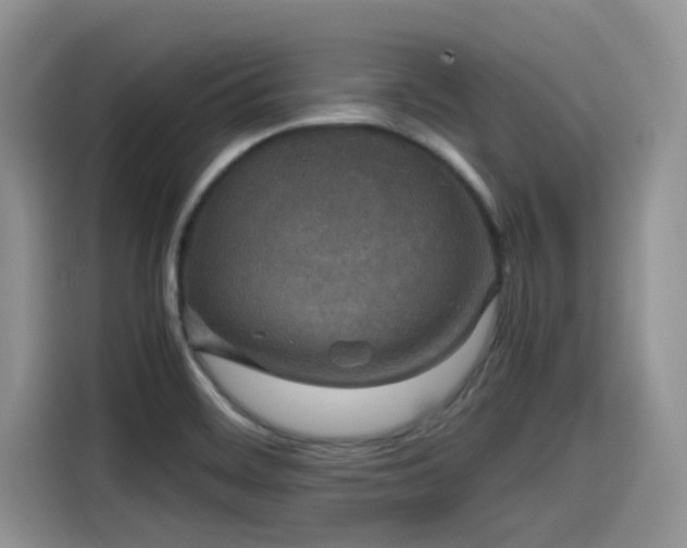 X0000115601468200911171118