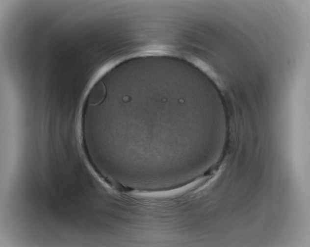 X0000115601469200911171118