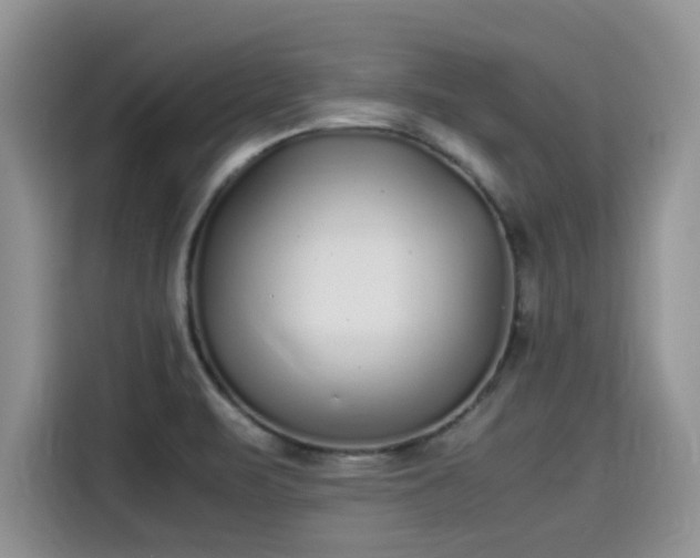 X0000115601471200911171118