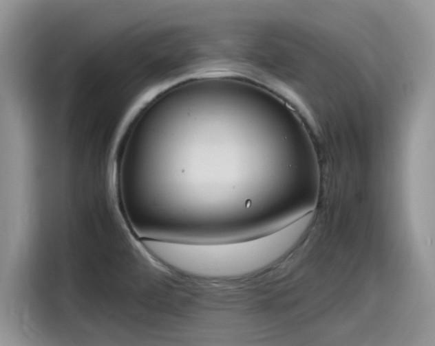 X0000115601472200911171118