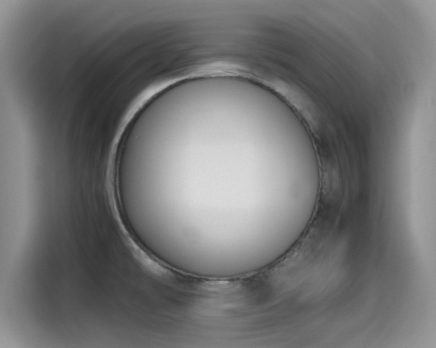 X0000115601478200911171118