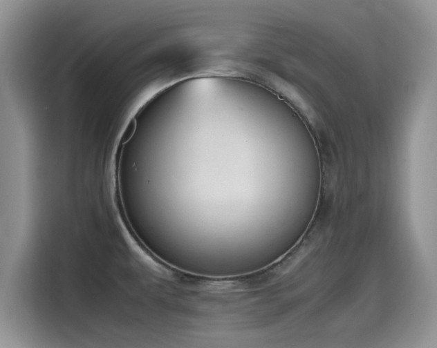 X0000115601479200911171118