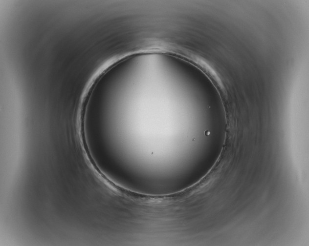 X0000115601480200911171118