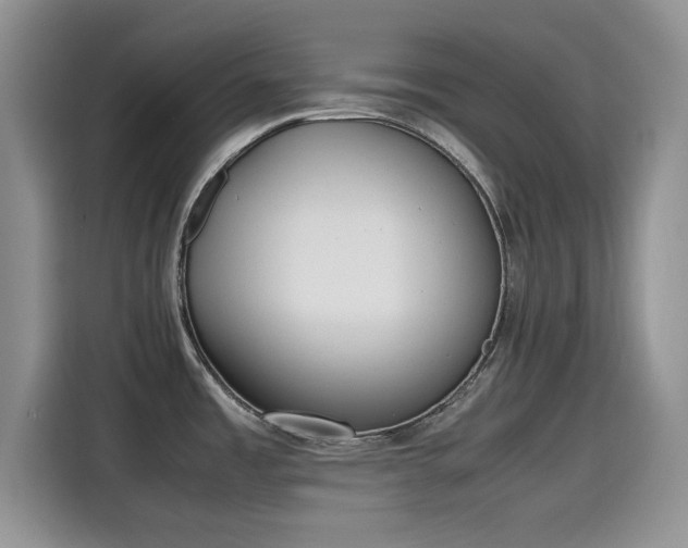 X0000115601485200911171118