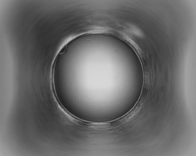 X0000115601487200911171118