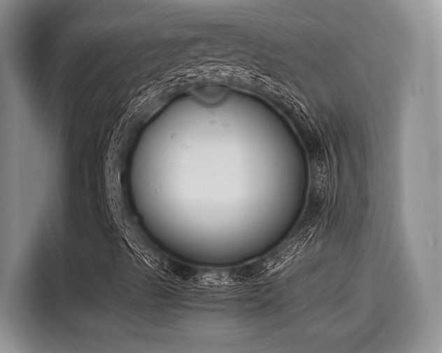 X0000115601489200911171117