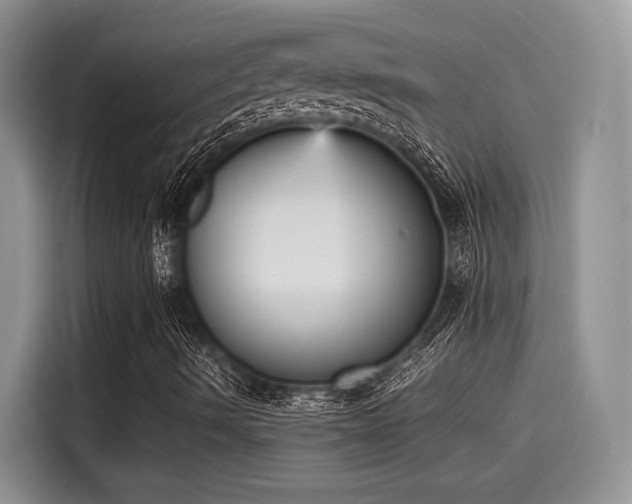 X0000115601490200911171117