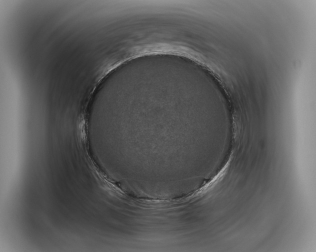 X0000115601497200911171117