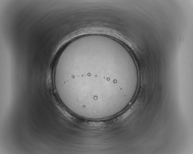 X0000115601498200911171118