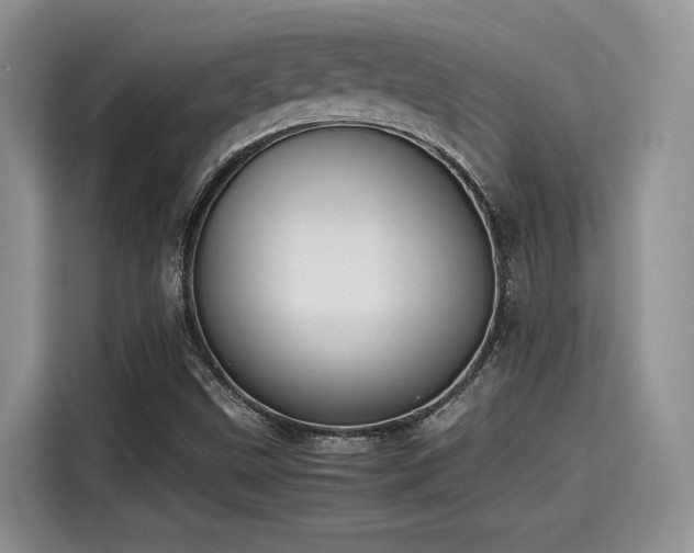 X0000115601499200911171118