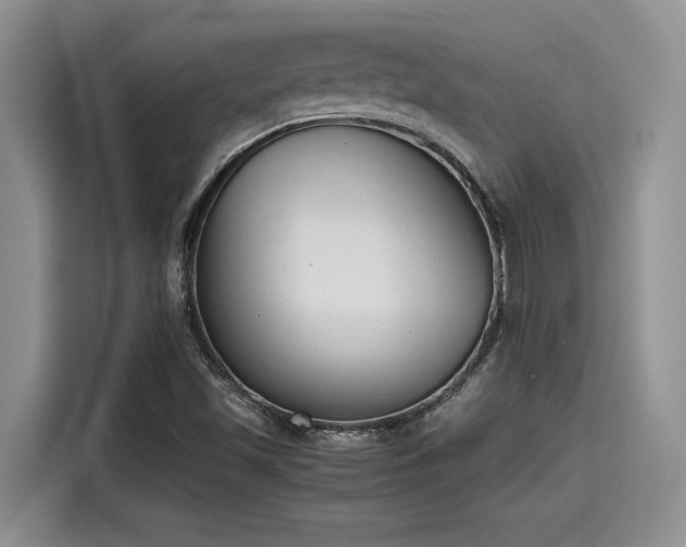 X0000115601501200911171118