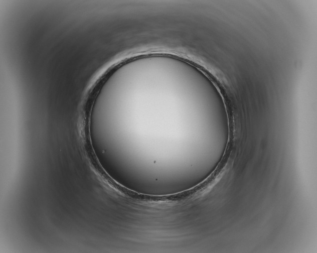 X0000115601502200911171118