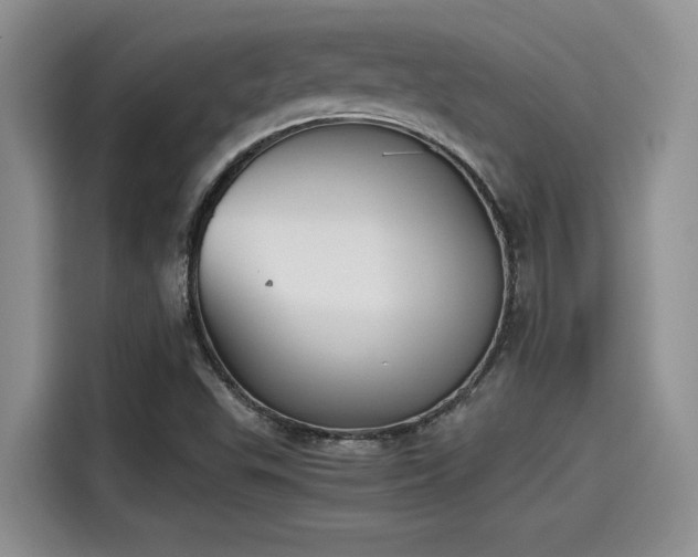 X0000115601503200911171118