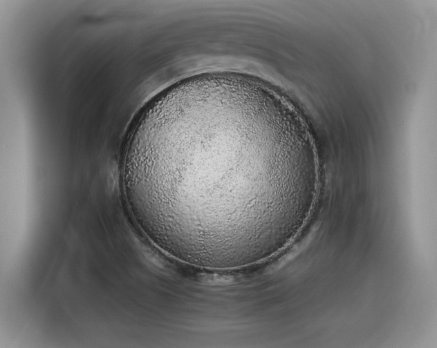 X0000115601505200911171118