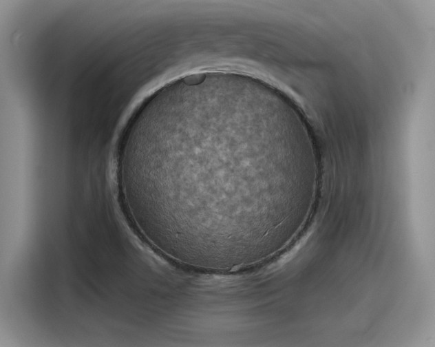 X0000115601506200911171118