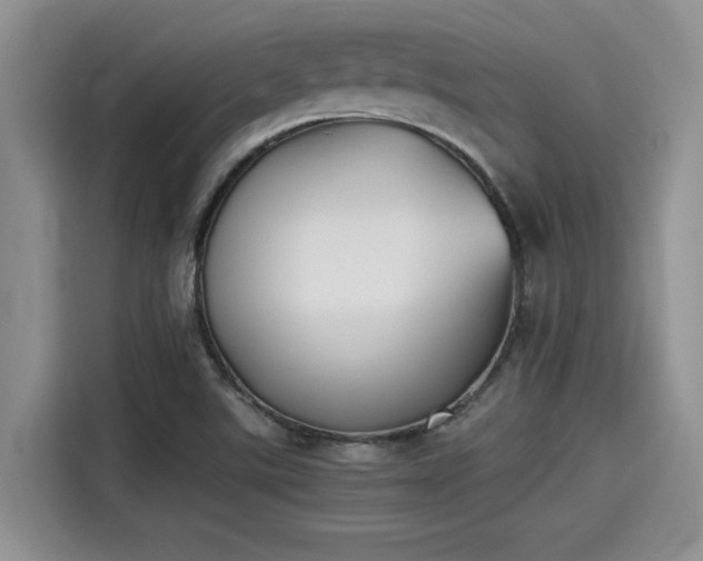 X0000115601507200911171118