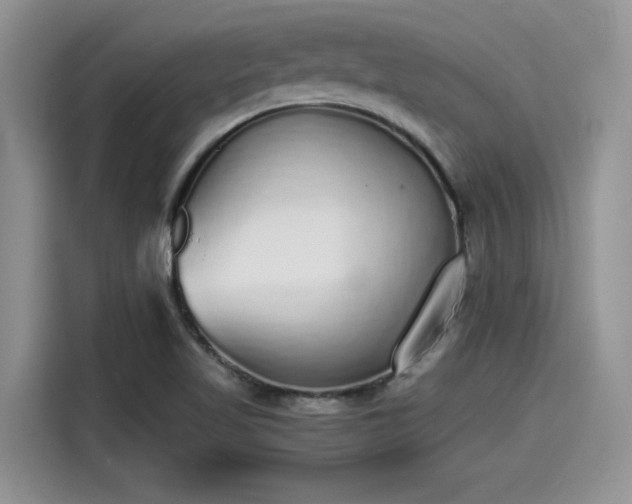 X0000115601509200911171118