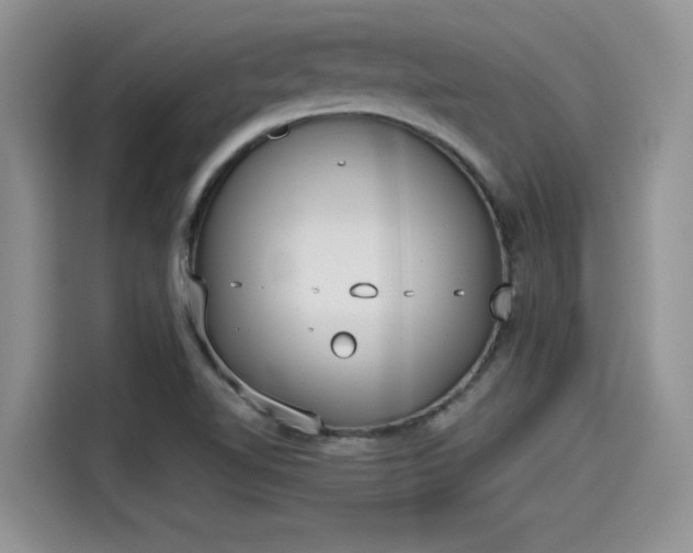 X0000115601510200911171118