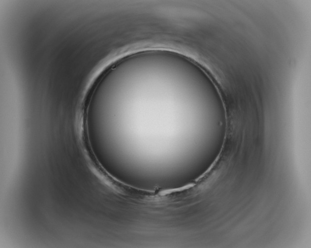 X0000115601511200911171118