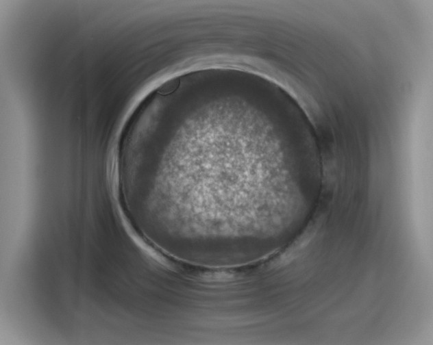 X0000115601515200911171118