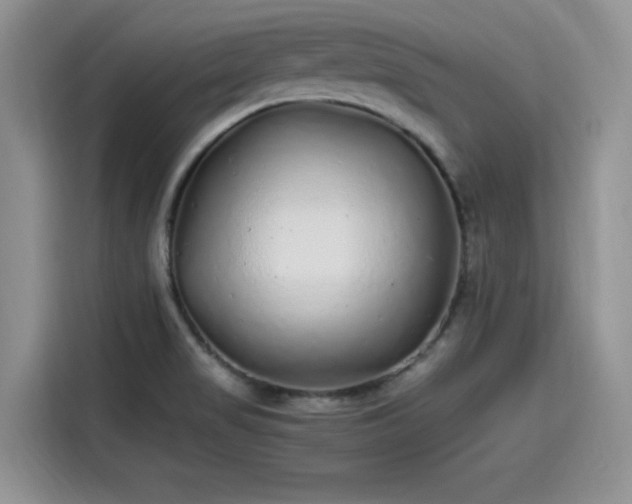 X0000115601517200911171118