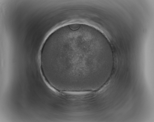 X0000115601519200911171118